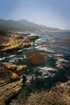 Dramatic coastline of surf, blue-green water and huge kelp forests near Point Lobos, California