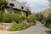 A vintage green car approaches up a narrow lane towards a thatched cottage in Godshill, Isle of Wight