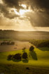 Evening light after a storm casts long shadows over the Dorset countryside