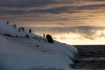 Penguins perch on the side of an iceberg with a large rock embedded off the shore of Deception Island, Antarctica