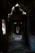 A dark, mossy corridor with light coming from the broken roof